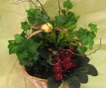 Garden basket with green and blooming plants