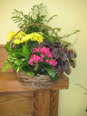 Basket of Plants fro Home or Service