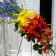 Colorful celebration